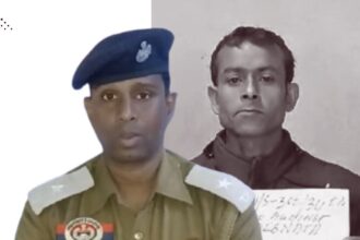 untitled design.png 1