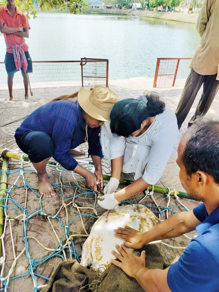 First Phase of Turtle Study Completed at Kalyan Sagar Lake, Matabari Temple 4 img 9835 1