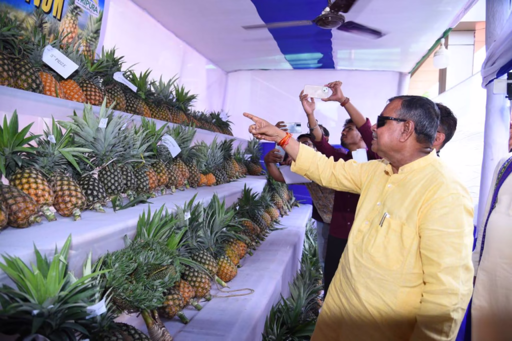 Tripura Government Plans Pineapple Processing Unit on NERAMAC Model: Agriculture Minister 2 517994968 1367895101368071 5360801979022667374 n