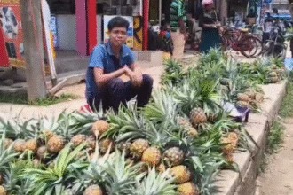 Pineapple