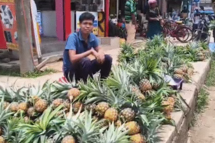 Pineapple