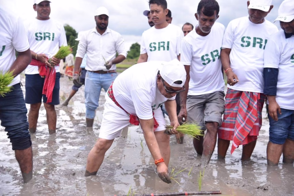 Tripura Agriculture Minister Launches Hybrid Paddy Plantation, Emphasizes Farmer Welfare 2 img 1589