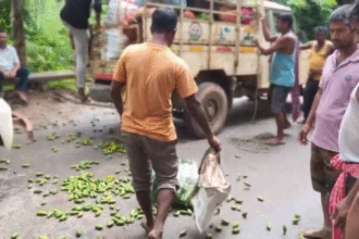 Vegetable Vendors