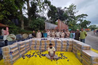 802881ff 170e 495a a770 0f979d659f31