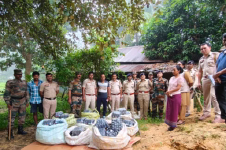 c7445fbd 45c5 47c4 89ff 968cd09b19be