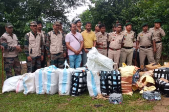 d9e5786a e485 4ec4 9730 fb1f269effa5