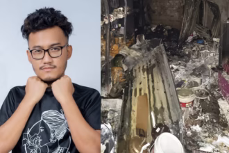 untitled design.png 2