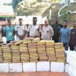 53a6b819 cf44 418e 9332 43b11da5f705