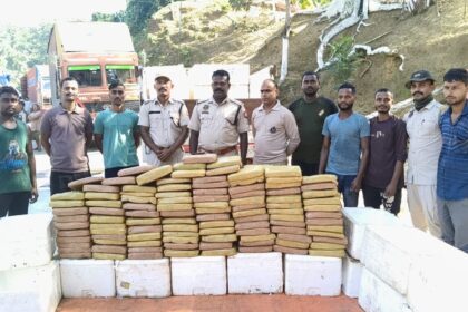 53a6b819 cf44 418e 9332 43b11da5f705