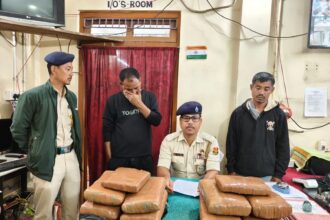 6ebef0b3 edb4 43d3 b1f5 36eabcfb1536