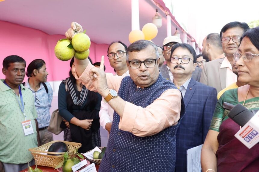 ec690295 4c0a 49f5 9363 f735e79fd0aa