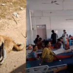 kamal koloi slams state bjp calls remarks false 2