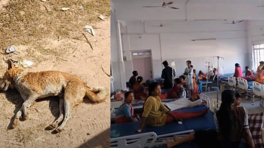 kamal koloi slams state bjp calls remarks false 2