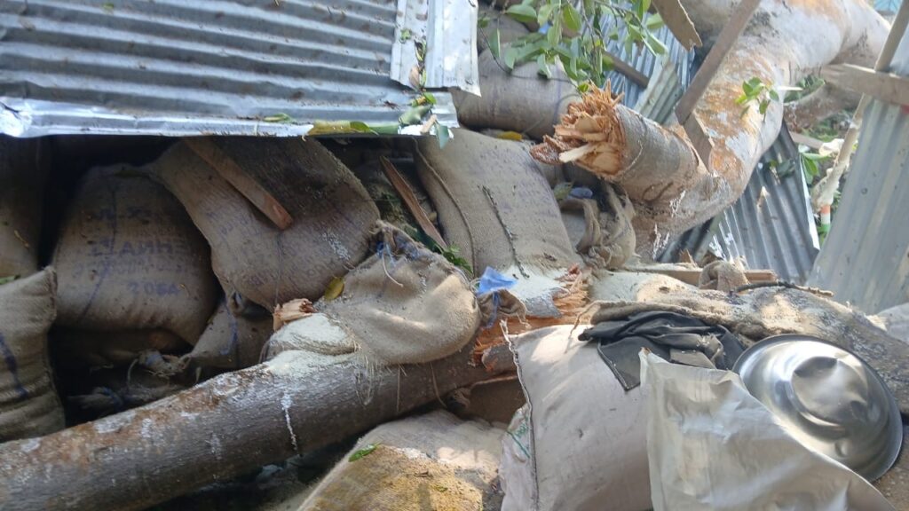 016794bd dd92 4cc5 8673 a64e7120dc22