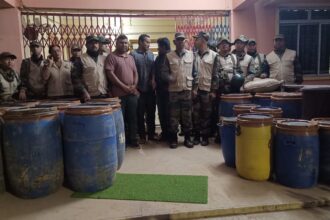 2ff77068 43ff 48fe 9fe3 19e79d7b86f6