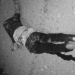 54dab54a 9a22 4fcb b4c9 4731e212467e