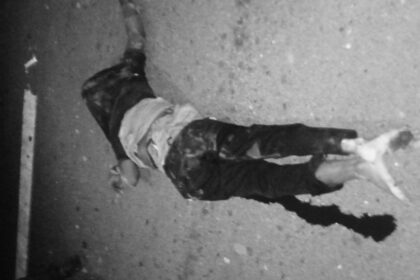 54dab54a 9a22 4fcb b4c9 4731e212467e