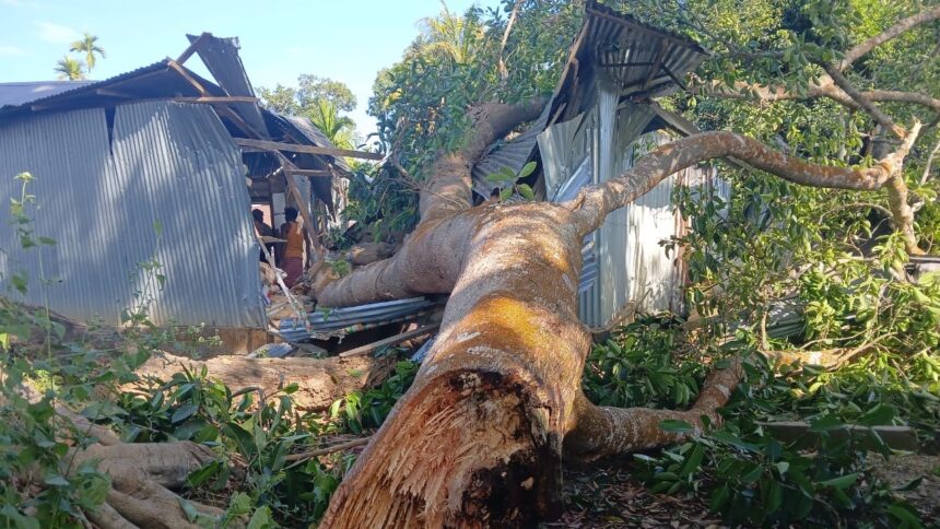 5e080276 8e57 4daa 9786 852ba48928e6