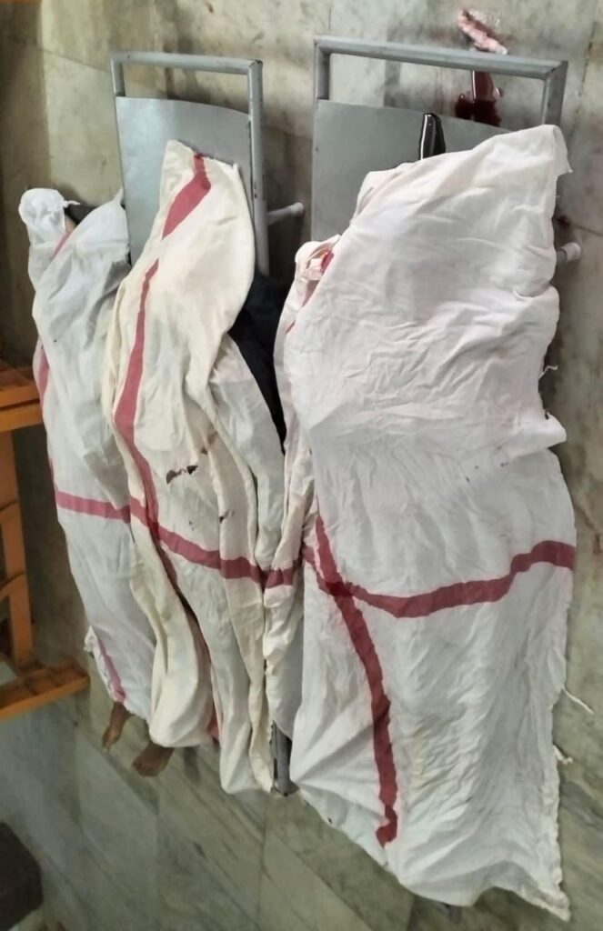 97713ed0 4fb6 4efe 91fa 0dc2d04fa789