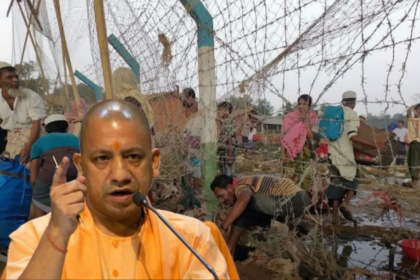 Rohingya–Bangladeshi Infiltrators