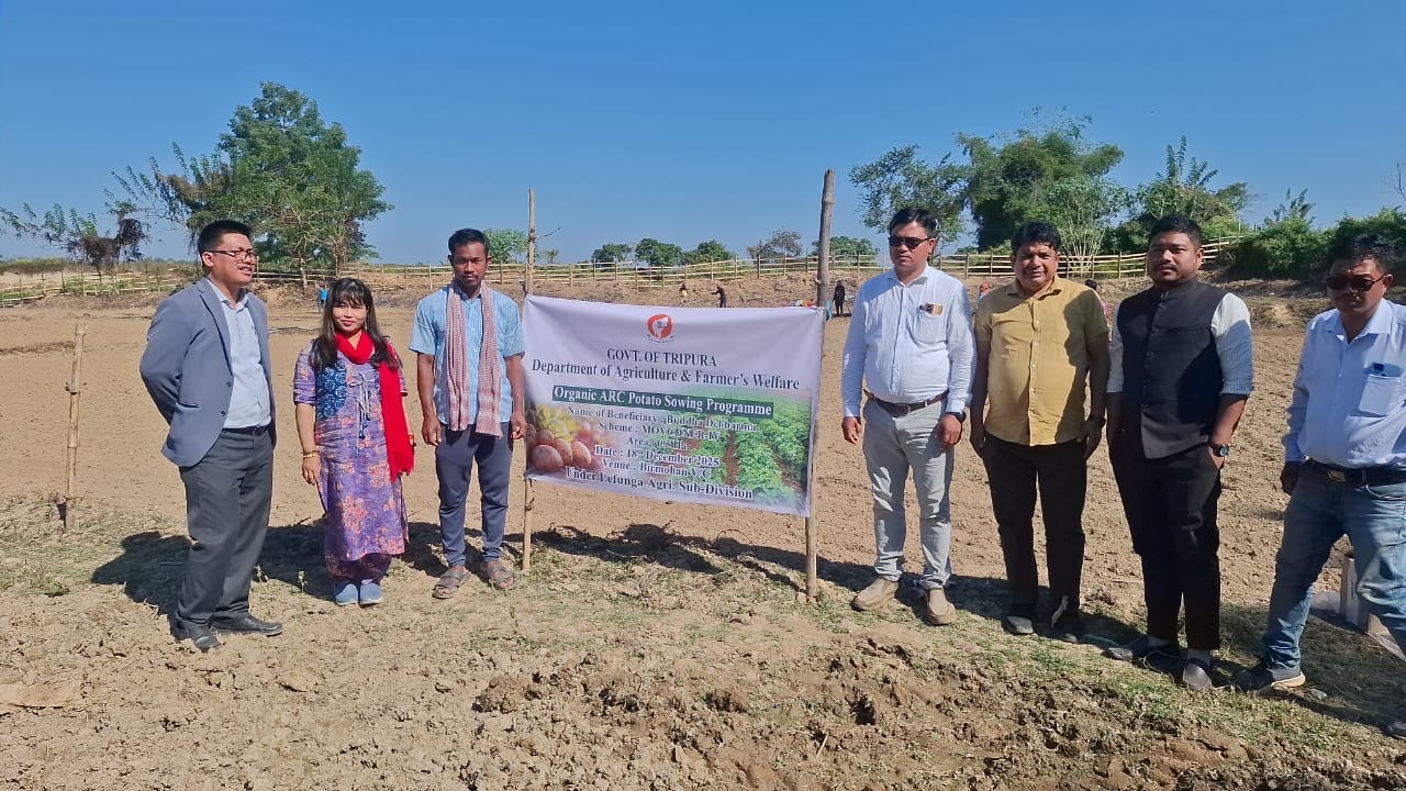 Successful First-Ever Demonstration Of Organic Potato Cultivation Using ...