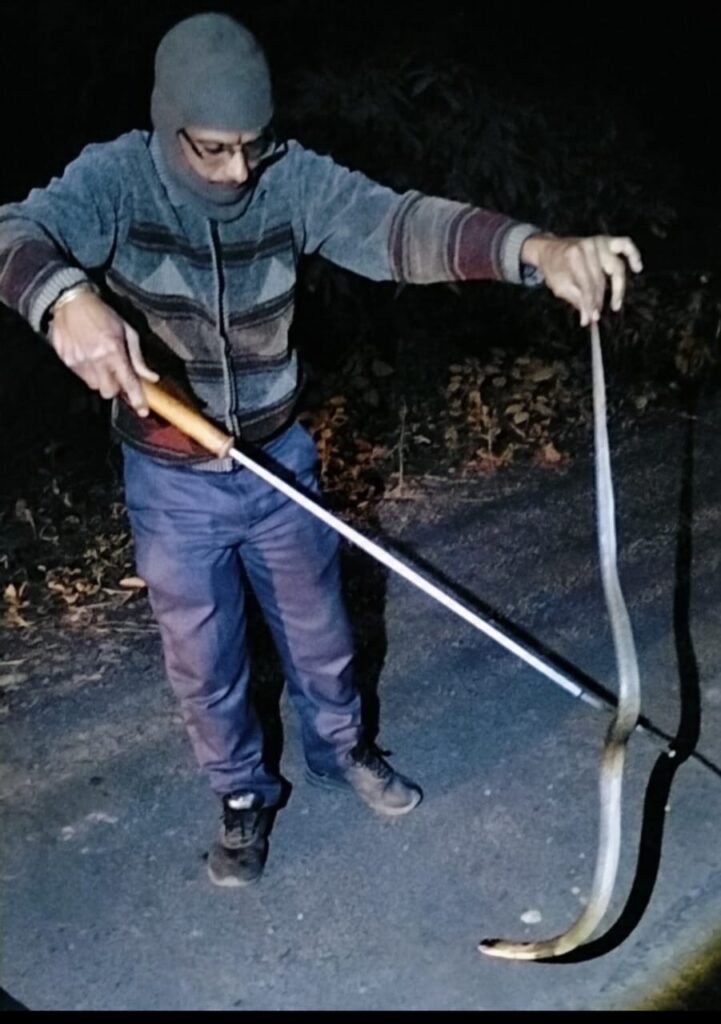 e994b021 b965 4d12 a5b7 337b6653f402 1