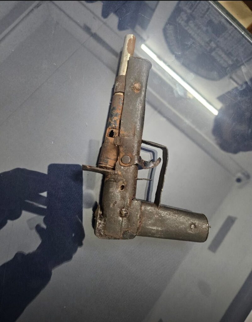 Brother arrested with country-made pistol in Dipali Debbarma shooting case 2 5db48376 0370 4993 85ff fb1a96559f1f 1