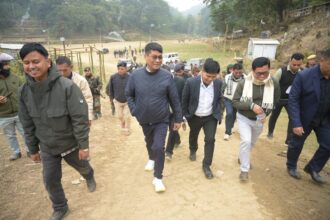 85ac550d 601c 4f70 922d 1371781cdda6