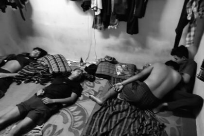 ed2794bb 38ba 416e 87b9 9321b81c5f1a