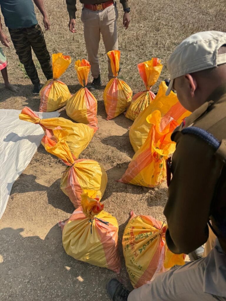 4a95f053 f19e 491f 98c9 ac8066ad5dda