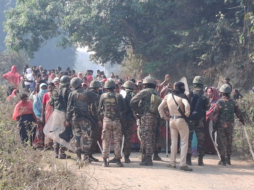 8cb682aa d339 4ec8 8889 aa3521a2cb96