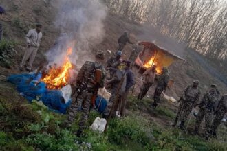 dc630372 4089 48dc 964a 96f6de52f562