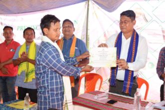 fd3589d7 3704 44e2 b68b 30d5c9e6694b