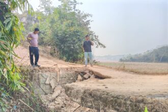 20450c74 9d65 4db6 8014 d3fced868e50