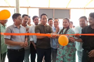 7a89a16a 81cf 4e76 b285 6c963a70613d