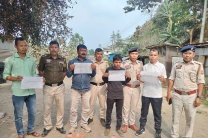 9ef812d6 db30 4e6b 8a29 e6cbf3bd33d5