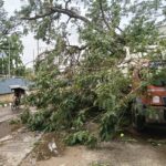 WhatsApp Image 2026 04 28 at 2.57.12 PM