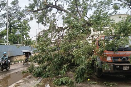 WhatsApp Image 2026 04 28 at 2.57.12 PM