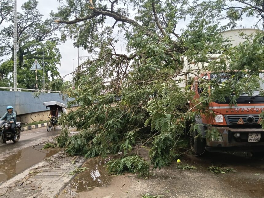 WhatsApp Image 2026 04 28 at 2.57.12 PM