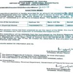 humanitarian aid sanctioned for electrocution victim in ambassa