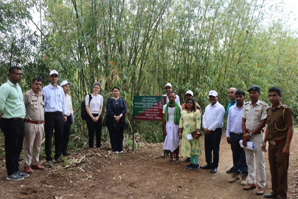 jica india mission visits tripura to review ongoing projects