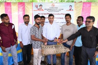 minister sudhangshu das launches piglet distribution program in unakoti district