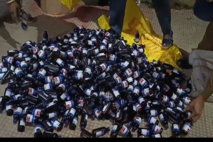 over 600 bottles eskuf syrup seized in teliamura
