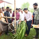 minister sudhangshu das launches fmd vaccination drive in bamutia block