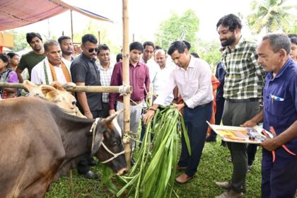 minister sudhangshu das launches fmd vaccination drive in bamutia block