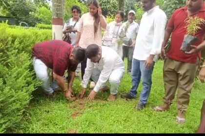 youth congress marks rahul gandhis birthday with statewide plantation drive in tripura