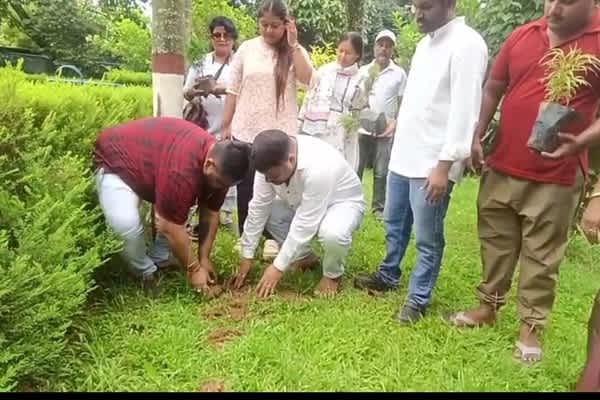 youth congress marks rahul gandhis birthday with statewide plantation drive in tripura
