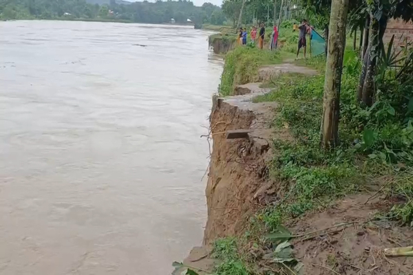 erosion leaves people living in river banks anxious in melaghar