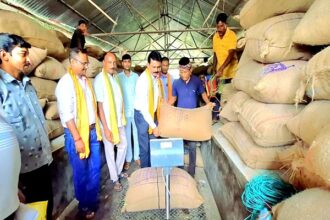 paddy procurement begins at jolaibari sabroom