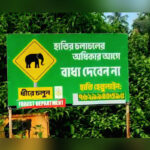 recurring wild jumbo incursions in villages cripple life in krishnapur